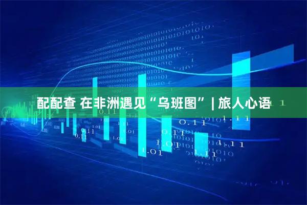 配配查 在非洲遇见“乌班图” | 旅人心语